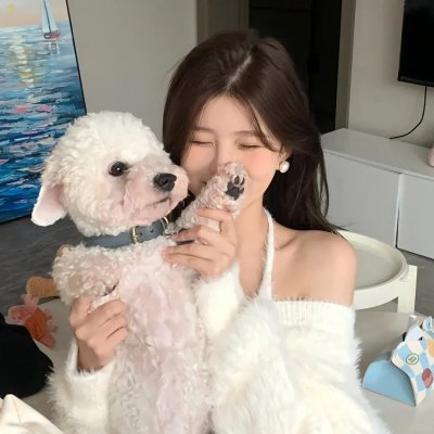 浮宫魅影